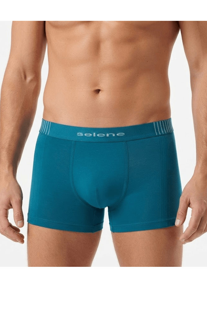 Cueca Selene Boxer Microfibra Sem Costura 11070.003 Verde
