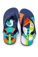 Chinelo-Dedo-Com-Elastico-Ipanema-Azul