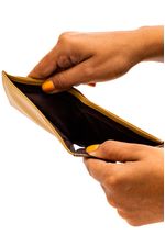 Carteira-Masculina-Ferracini-Cf370c-Bege