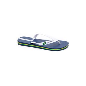 Chinelo De Dedo Brasil Adulto Ipanema 27040-Aj571 Azul