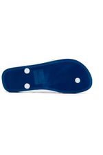 Chinelo-Dedo-Masculino-Ipanema-27040-Aj571-Azul-