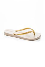 Chinelo-De-Dedo-Glitter-Ipanema-26622-09000-Sortido