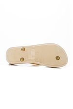 Chinelo-De-Dedo-Glitter-Ipanema-26622-09000-Sortido