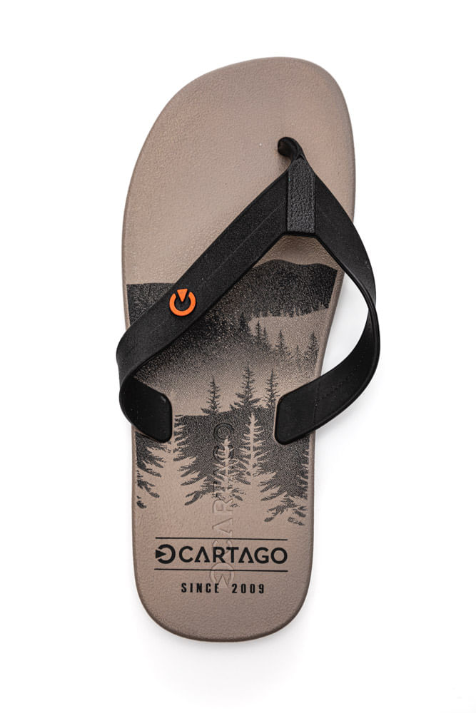 Chinelo-De-Dedo-Masculino-Atlanta-Cartago-11840-Cinza