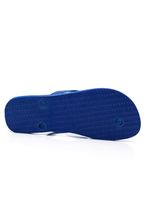 Chinelo-De-Dedo-Havaianas-Brasil-Masculino-Light-2711-Azul