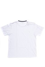 Camiseta-Ogochi-Casual-Masculina-Gola-Redonda-Og-006000012-Branco
