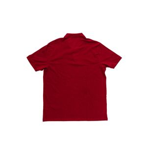 Camiseta Ogochi Casual Masculina Gola Polo Plus 007000009 Bordo