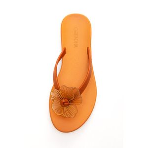 Chinelo Grendha Rasteira Feminina Flor 18842 Marrom