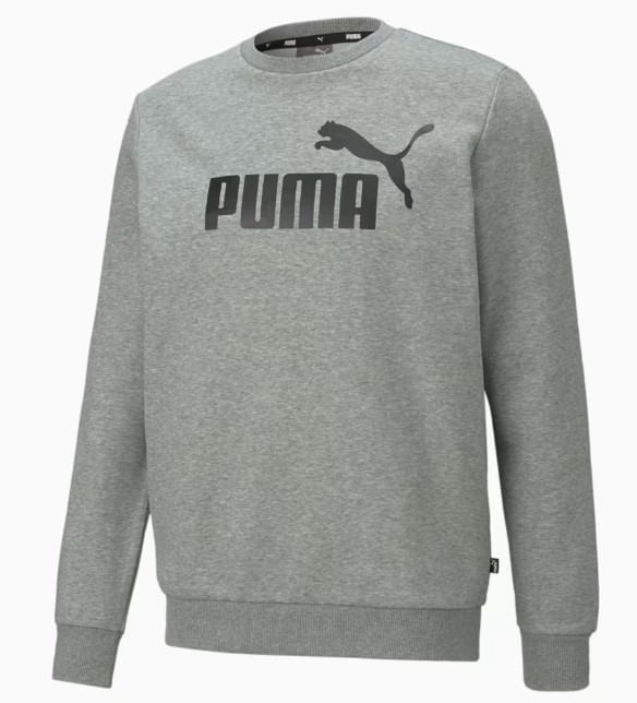 Blusao-Essentials-Big-Logo-Basico-Masculino-Puma-586678-03-Cinza