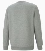 Blusao-Essentials-Big-Logo-Basico-Masculino-Puma-586678-03-Cinza