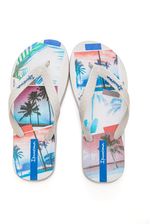 Chinelo-Ipanema-27072-0900-Sortido