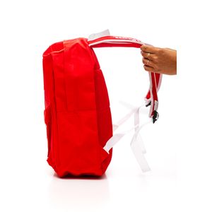 Mochila Wilson Casual - 20 Litros 65.011009re Vermelho