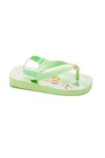 Chinelo-Havaianas-Disney-Clas-7452-Verde
