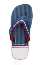 Chinelo-Cartago-12300-Au765-Cinza