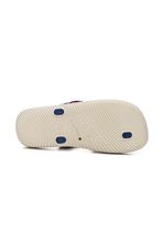 Chinelo-Cartago-12300-Au765-Cinza