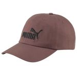 Bone-Esportivo-Masculino-Puma-Essentials-022416-98-Bordo