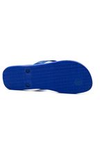 Chinelo-De-Dedo-Tradicional-Havaianas-Brasil-Azul