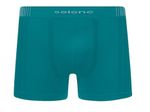 Cueca-Selene-Boxer-Microfibra-Sem-Costura-11070.003-Verde