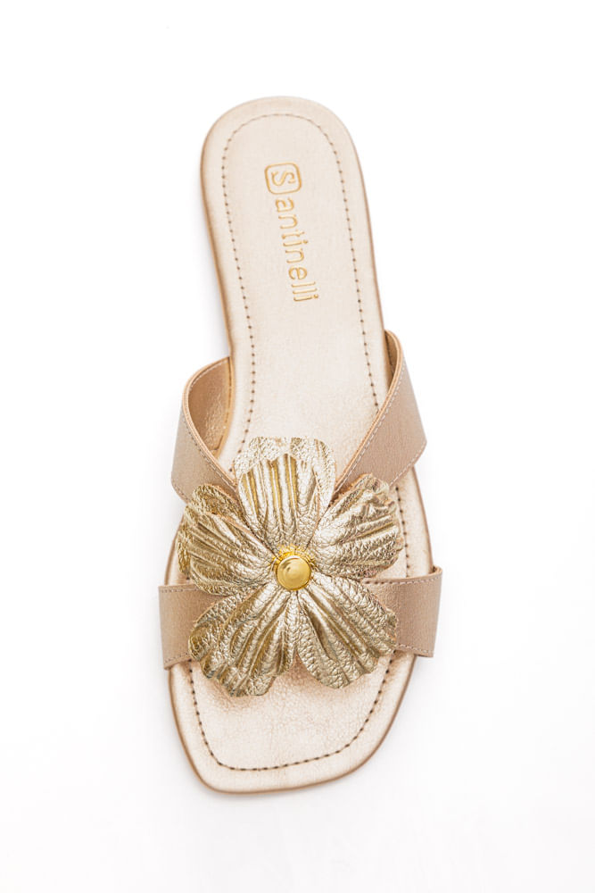 Chinelo-Santinelli-1552-037-Ouro