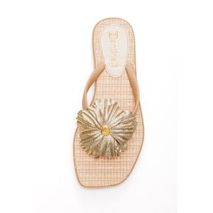 Chinelo Santinelli Rasteira Feminina Flor 1564-004 Ouro