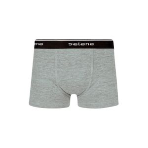 Cueca Selene Infantil Boxer Algodão 12450.001 Cinza