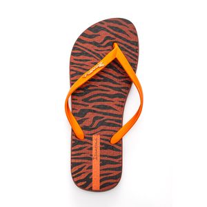 Chinelo Ipanema Animal Chic Feminino Listras 27217-Bf202 Marrom