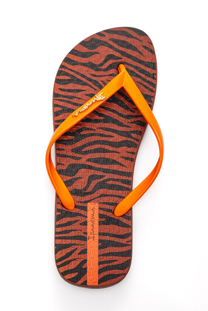 Chinelo-Ipanema-27217-Bf202-Marrom