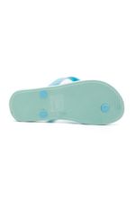 Chinelo-Ipanema-27012-Bj238-Azul