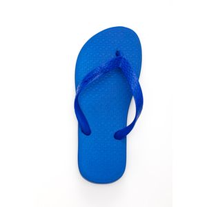 Chinelo Ipanema Infantil Menino Básica 576.620.989 Azul