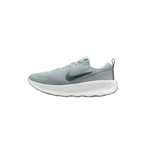 Tênis Nike Promina Masculino Running Fv5285-003 Cinza