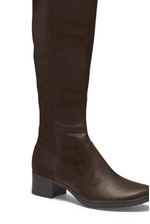 Bota-Cano-Alto-Mississipi-Me123-02-Marrom