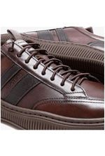 Sapatenis-Democrata-625101-002-Marrom