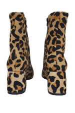 Bota-Ankle-Boot-Bottero-362102-15-Animal-Print