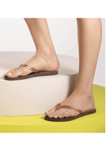 Chinelo-Havaianas-Elegance-Print-Marrom