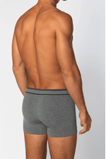 Cueca-Boxer-Lupo-Sem-Costura-Microfibra-00733-004-Cinza