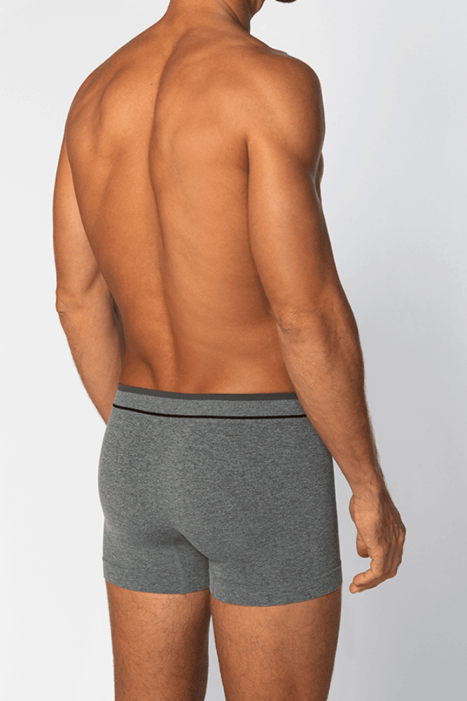 Cueca-Boxer-Lupo-Sem-Costura-Microfibra-00733-004-Cinza