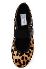 Sapatilha-Bottero-373204-Animal-Print