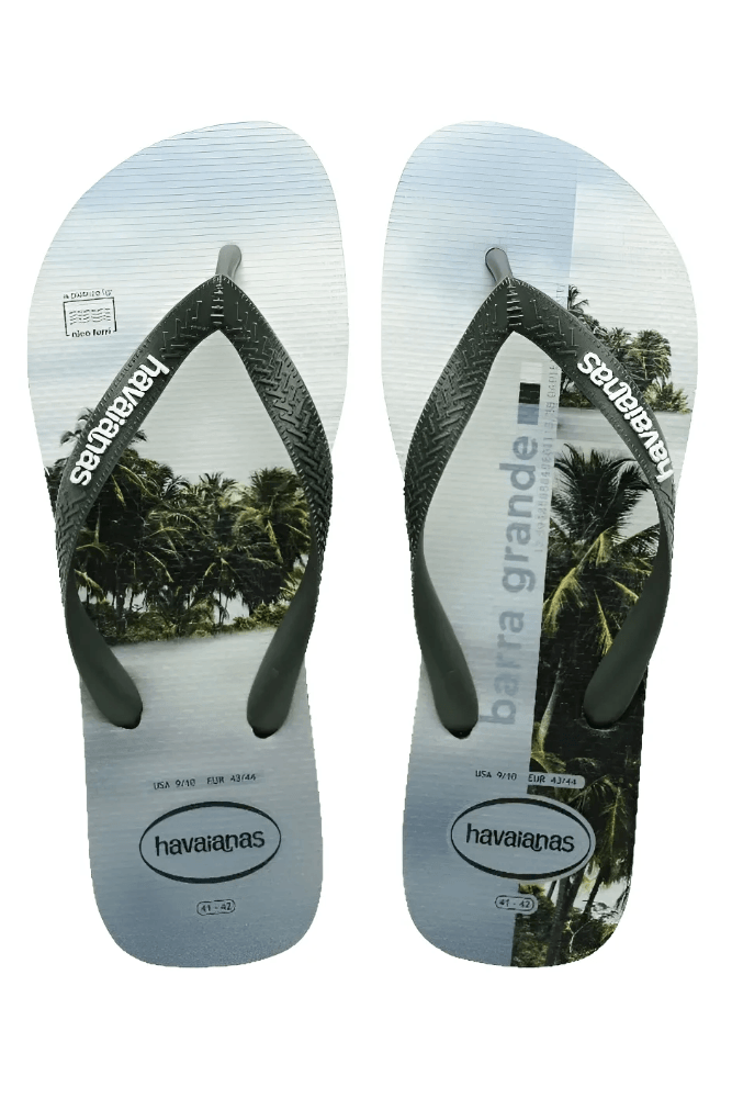 Chinelo Havaianas Masculino Top Surfer Verde
