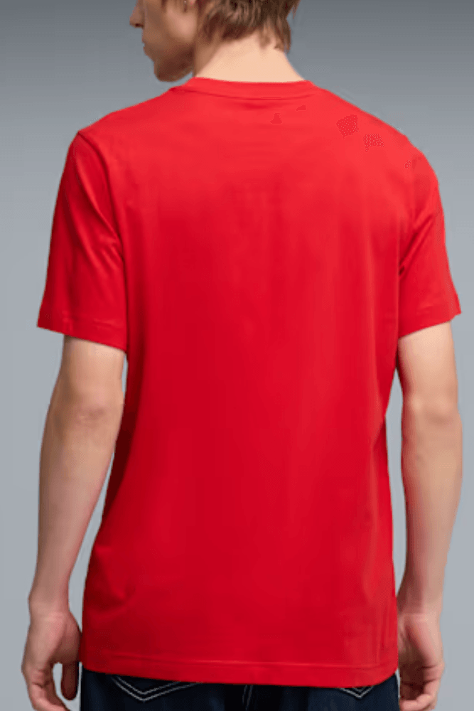 Camiseta Polo Puma Essentials Small Masculina Logo 684717 11 Vermelho